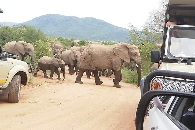 3 day Kruger National Park end with panaroma - Photo 1 of 9